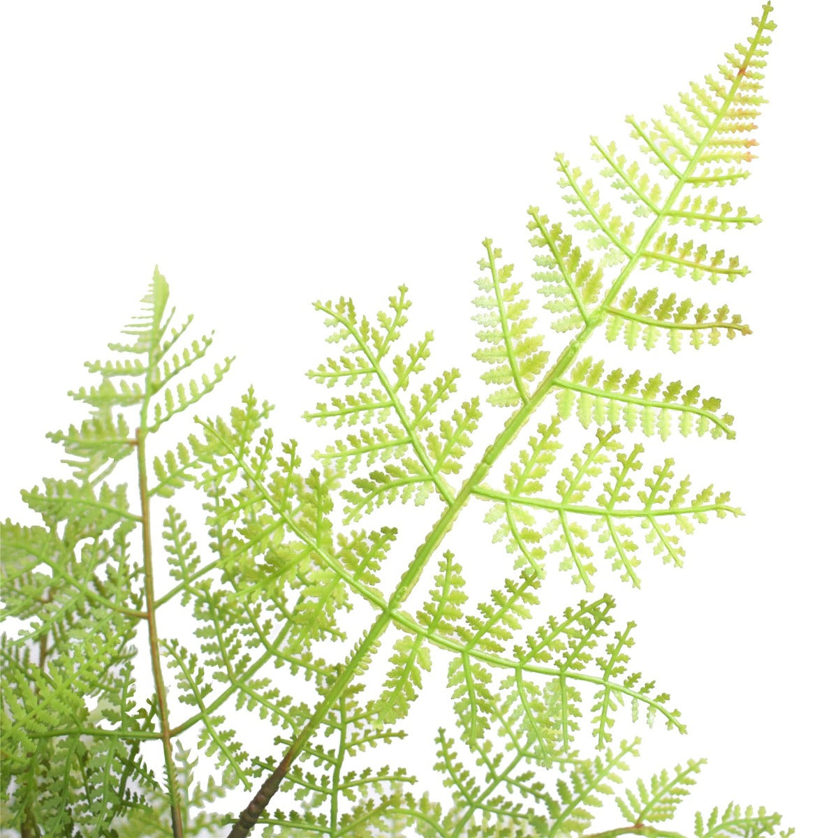 UN-REAL Natural Fern Tree 90cm