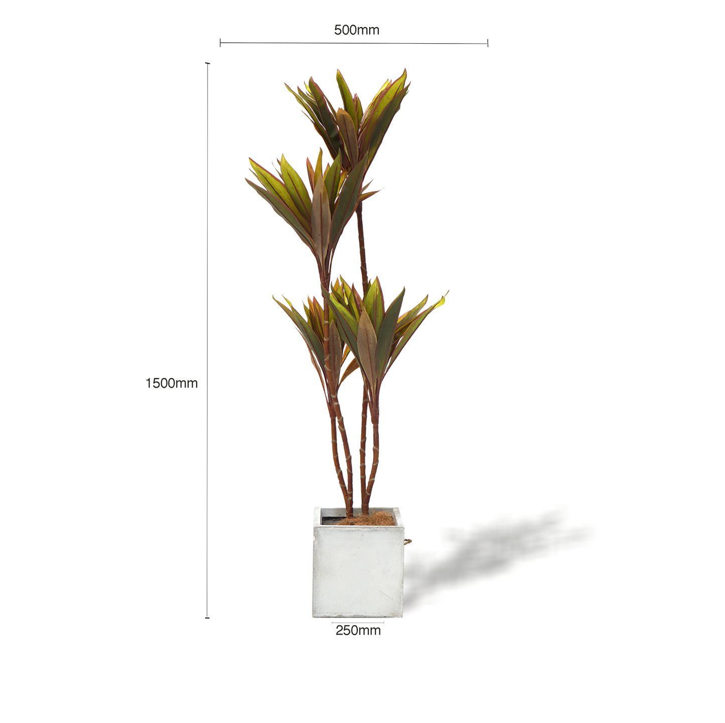 UN-REAL Cordyline fruticosa Tree