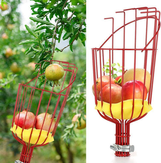 Fruit picking tool with telescopic pole - stainless steel fruit picking pole, high altitude tree fruit picking tool 2.4m