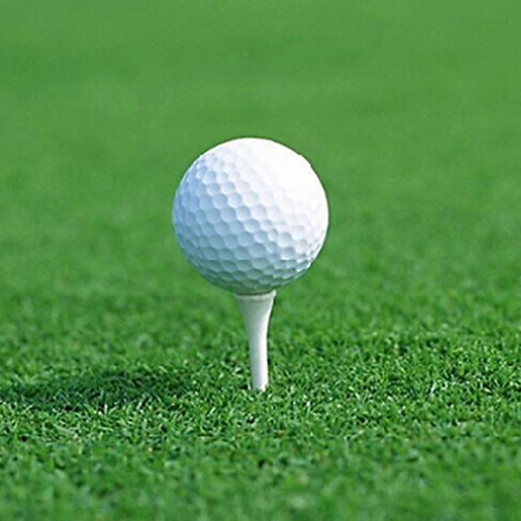 Double Layer Elastic Golf Balls for Driving Range - Synthetic Rubber