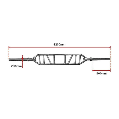 Olympic Swiss Bar Specialty Barbell