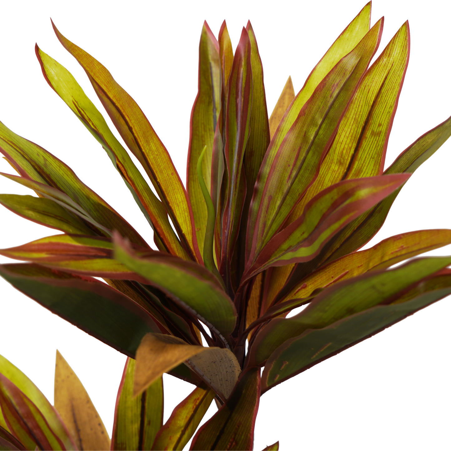 UN-REAL Cordyline fruticosa Tree