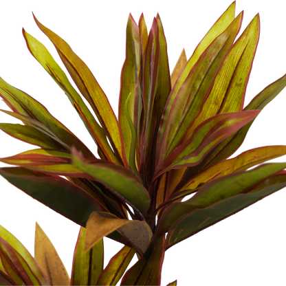 UN-REAL Cordyline fruticosa Tree