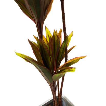 UN-REAL Cordyline fruticosa Tree